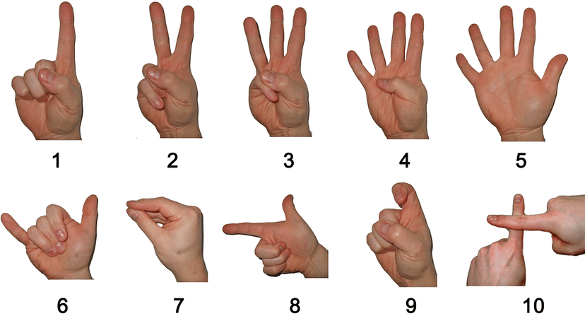 Finger Counting System